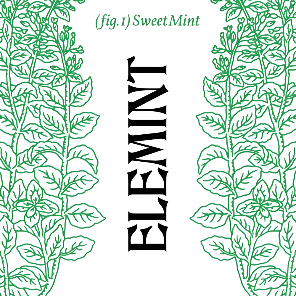 Elemint
